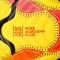 Nike Premier League 2024-2025 Academie Plus Bal
