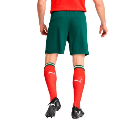 Portugal 2024-2025 Home Shorts