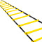 Trainingsladder (4 meter en 10 treden)