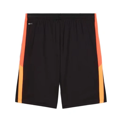 Individualliga Trainingsshort Shorts Shorts