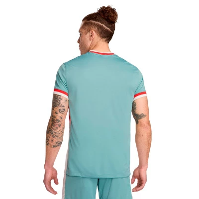 Atlético de Madrid 2024-2025 Uit Shirt