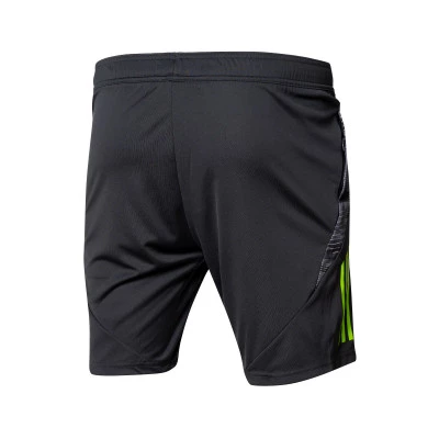 Real Zaragoza Training 2024-2025 Coaches Shorts