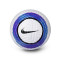 Nike Premier League 2024-2025 Vlucht Bal