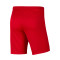 Nike Park III Knit Gimnástica de Torrelavega Niño Shorts