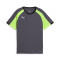 Puma IndividueelLiga Jersey Jr. T-Shirt