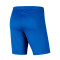 Nike Park III Knit CD Denia Shorts