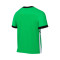 Nike Academie 25 Shirt