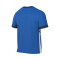 Nike Academie 25 T-Shirt
