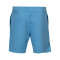 Nike Swoosh Air Shorts