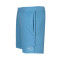 Nike Swoosh Air Shorts