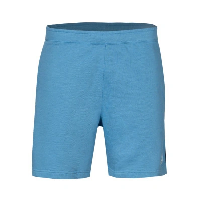 Swoosh Air Shorts