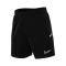 Nike Academie 25 Shorts