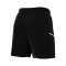 Nike Academie 25 Shorts