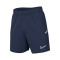Nike Academy 25 Shorts