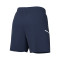 Nike Academy 25 Shorts