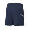 Nike Academie Kinderen Shorts