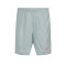 Nike Academie 25 Shorts