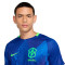 Nike Brazilië Dames Copa América 2025 Uit Shirt