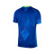 Nike Brazilië Dames Copa América 2025 Uit Shirt