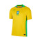 Nike Copa América 2025 Dames, Brazilië Thuis Shirt
