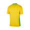Nike Copa América 2025 Dames, Brazilië Thuis Shirt