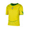 Nike Speciale editie van de heruitgave van Brazilië T-Shirt