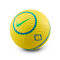 Nike Amerika Cup Dames 2025 Bal