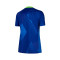 Nike Brazilië Dames Copa América 2025 Uit Shirt