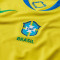 Nike Copa América 2025 Dames, Brazilië Thuis Shirt