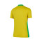 Nike Copa América 2025 Dames, Brazilië Thuis Shirt