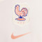 Nike Frankrijk Dames Euro 2025 Uit Shirt