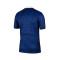 Nike Frankrijk Dames Euro 2025 Shirt