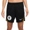 Nike Training EK 2025 dames Nederland Shorts