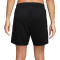 Nike Training EK 2025 dames Nederland Shorts