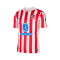 Nike Atlético de Madrid 2025-2026 Home Shirt