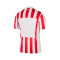 Nike Atlético de Madrid 2025-2026 Home Shirt