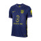 Nike Atlético de Madrid Authentiek 2025-2026 Uit Shirt