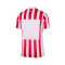 Nike Atlético de Madrid Authentiek 2025-2026 Thuis Shirt