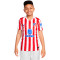 Nike Kinderen Atlético de Madrid 2025-2026 Thuis Shirt