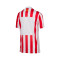 Nike Kinderen Atlético de Madrid 2025-2026 Thuis Shirt