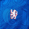Nike Kinderen Chelsea FC 2025-2026 Pre-Match Jack
