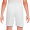 Nike Kinderen Inter Milaan 2025-2026 Uit Shorts