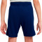 Nike Kinderen Inter Milaan 2025-2026 Training Shorts