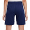Nike Kinderen Tottenham Hotspur FC 2025-2026 Thuis Shorts