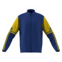 Squadra 25-Team Royal Blue-Team Yellow