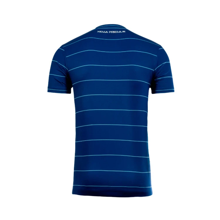 camiseta-castore-dinamo-zagreb-primera-equipacion-2025-2026-surf-the-web-baltic-sea-2