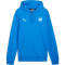 Puma Con Capucha teamGOAL Utebo FC Sweatshirt