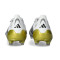 adidas Predator Elite FT FG Voetbalschoenen