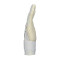 Puma Ultra Ultieme Hybrid Handschoen