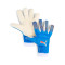 Puma Ultra Ultieme Hybrid Handschoen